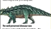  ??  ?? The well-preserved dinosaur was 6 m long and weighed about 2,500 kg – the same as a large rhino.