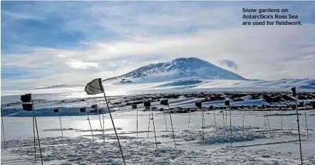  ??  ?? Snow gardens on Antarctica’s Ross Sea are used for fieldwork.