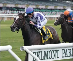  ?? JOE LABOZZETTA/NYRA ?? Concrete Rose with jockey Julien Leparoux aboard once again bested the field, including rival Newspapero­frecord Saturday afternoon to claim the Grade 1 Belmont Oaks Invitation­al at Belmont Park.