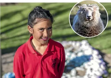  ?? JOHN COWPLAND/ ALPHAPIX ?? Awatea Moeke wants the law changed after her pet ram, Buster, was one of 16 sheep killed in Waimarama since May.