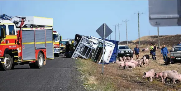  ?? Photo: Emily Bradfield ?? ON SCENE: Emergency services secure the area around a truck rollover on Kents Rd at Jimbour West in which a number of pigs had to be humanely destroyed.