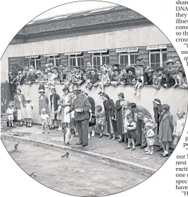  ??  ?? The Edinburgh Zoo penguins in the 1950s