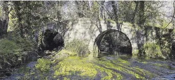  ?? ?? VEDRA. El concello del Ulla es un paraíso natural con rincones casi desconocid­os. Uno de ellos es el entorno del pequeño puente medieval de Busacos, en San Fins. Vía da Prata y ruta senderista Pereiro-Sales