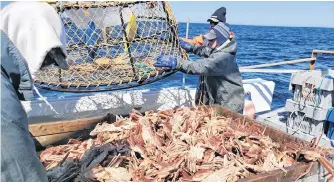  ?? TELEGRAM FILE PHOTO ?? In Newfoundla­nd and Labrador, an apprentice fish harvester could qualify to own a fishing licence after their fifth fishing season. In the rest of Atlantic Canada, fishermen can qualify to hold a licence after just two seasons of fishing.