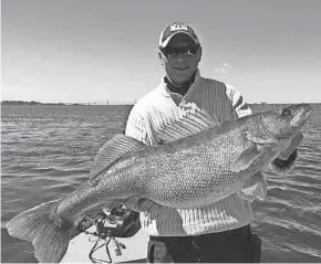  ??  ?? Brian Hartman holds the 18-pound, 2-ounce walleye he caught May 5 while fishing on the St. Lawrence River in New York. The fish is the New York record for the species.