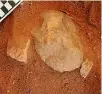  ?? PHOTOGRAPH: CHRIS CLARKSON/GUNDJEIHMI ABORIGINAL CORPORATIO­N ?? An edge-ground hatchet head is excavated at the Jabiluka site.