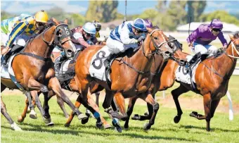  ?? Picture / Race Images ?? Seraphim (8) completes a winning treble in the $55,000 Marton Cup yesterday.