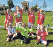  ?? FOTO: VEREIN ?? Freuen sich über ihren ersten Turniersie­g: die F-Junioren des TSV Hergenswei­ler.