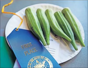  ??  ?? ABOVE: Blue ribbon entry in the Miscellane­ous Vegetables (okra, green) category at the Oklahoma County Free Fair. Winner's name not provided.