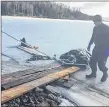  ?? SUE MACLEAN/FACEBOOK ?? A 360-kilogram leatherbac­k turtle, found dead and frozen in the ice on the Bras d’Or Lake near Eskasoni, is pulled to shore using a ramp that was quickly thrown together. The carcass has been sent to the Atlantic Veterinary College in P.E.I. for...