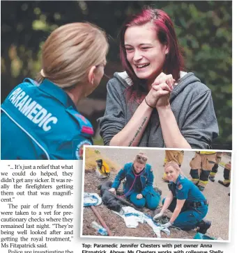  ??  ?? Top: Paramedic Jennifer Chesters with pet owner Anna Fitzpatric­k. Above: Ms Chesters works with colleague Shelly Pringle to save the lives of Ms Fitzpatric­k’s pets.