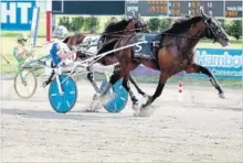  ?? MARK HALL ?? Cambridge-owned Marion Marauder after winning the $1-million Hambletoni­an Stakes in East Rutherford, N.J.