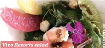  ??  ?? Vivo Resorts salad