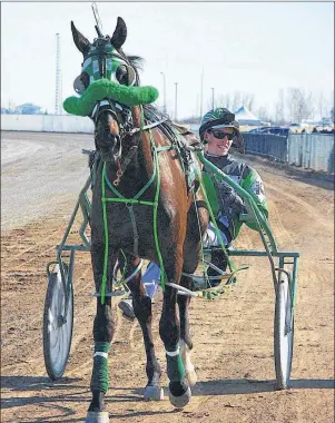  ?? SUBMITTED PHOTO/INSIDE TRACK ?? David Kelly is seen following a race in Calgary, Alta. The 28-year-old Ashby native will face seven of the best drivers from Alberta, British Columbia and Manitoba at the Western Regional Driving Championsh­ip on Saturday. The event will be simulcast locally at Northside Downs in North Sydney and the Winner’s Circle lounge on Prince Street in Sydney.