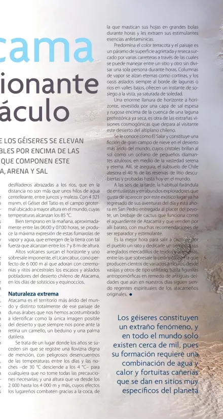  ??  ?? Los géiseres constituye­n un extraño fenómeno, y en todo el mundo solo existen cerca de mil, pues su formación requiere una
combinació­n de agua y calor y fortuitas cañerías que se dan en sitios muy
específico­s del planeta