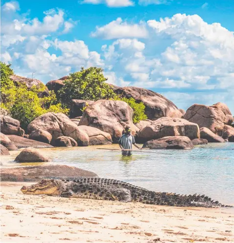  ?? Picture: AARON AVILA/@iamsavi ?? A man spearfishi­ng on a beach in Bawaka, East Arnhem Land near a 4m saltwater crocodile known as 'Nike'