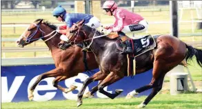  ?? J C P H O T O G R AP H I C S ?? Forafewdol­larsmore could win again when he runs in Race 5 on the Vaal Classic track tomorrow. /