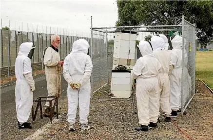  ??  ?? Inmates at the Auckland Region Women’s Correction­s Facility (ARWCF) take lessons in Apiculture from expert beekeeper Brian Alexander.