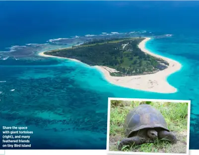  ??  ?? Share the space with giant tortoises (right), and many feathered friends on tiny Bird Island