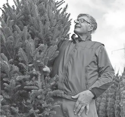  ?? MATT STONE/COURIER JOURNAL ?? In this 2014 photo, Tommy Thompson admires one of the trees for sale on his lot, a family tradition since the late 1950s.