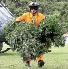  ?? CHRISTINE CORNEGE ?? The police annual operation to detect and destroy cannabis crops has been scrapped.