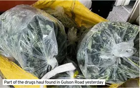  ??  ?? Part of the drugs haul found in Gulson Road yesterday