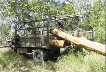  ?? EIA ?? Logs are hauled onto a Vietnamese transporte­r in Ratanakkir­i province for delivery to Vietnam in February this year.