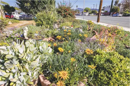  ?? EDUARDO CONTRERAS U-T ?? Jeanne Reutlinger wanted a colorful garden that attracted pollinator­s.