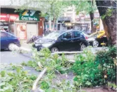  ??  ?? ► El viento derribó árboles en Santiago.