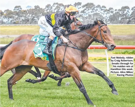  ?? ?? Fast Melody, ridden by Craig Robertson, breaks through for his maiden win at Hamilton this week. Picture: Alice Miles/ Racing Photos