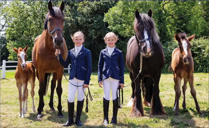  ??  ?? MATCHING JUMPERS: Twin showjumper­s Daisy, left, and Isabelle, eight, with their foals, Vinvictory and Vinabelle, and their surrogate mothers