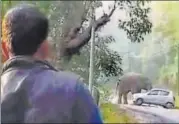  ?? HT PHOTO ?? ▪ An elephant attacks a car on a national highway in Ramnagar’s Dhangarhi-Mohan area near Corbett on Monday.
