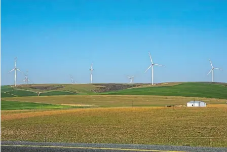  ?? / JACQUES STANDER/GALLO IMAGES ?? A general view of the wind farm at Caledon, Western Cape, one of system used by independen­t power producers to produce electricit­y.