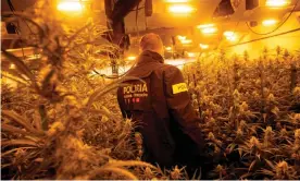  ?? Photograph: Josep Lago/ Getty ?? A member of the Catalan police during a raid on a drugs factory.