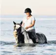  ?? ?? A horse cools off at Highcliffe beach