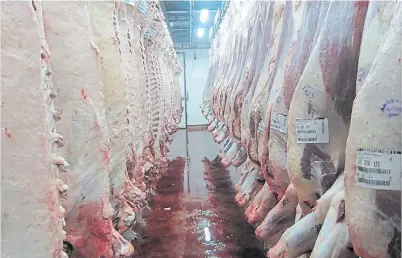  ??  ?? Reses. En la actualidad, el mercado chino es el principal destino de los embarques argentinos de carne.