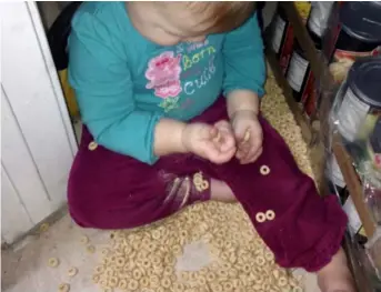  ?? Photo: Joe Capell ?? Charlee helps herself to a snack.