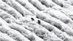  ??  ?? Flies are seen on top of the food at a restaurant in Kuala Lumpur. - Bernama photo