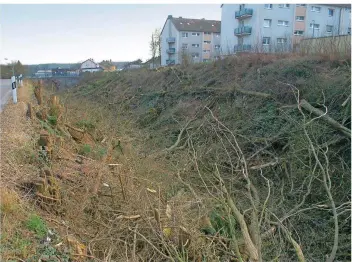  ?? FOTO: ANDREAS LANG ?? So sieht es nach den Rodungsarb­eiten der Deutsche Bahn AG entlang der Straße zum Weyerbacht­al aus, im Hintergrun­d sind Häuser der Lindenhof- und Pfaffenkop­fstraße zu sehen.