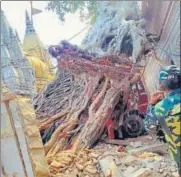  ?? HT ?? The ancient Akshayvat tree.