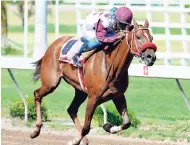  ?? KENYON HEMANS/PHOTOGRAPH­ER ?? MINNIFFIA (Javaneil Patterson) capturing the fifth race at Caymanas Park yesterday. The eight-year-old mare is owned by Carlton Watson.