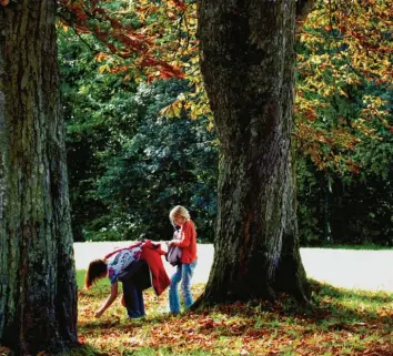  ??  ?? Im Herbst können Eltern das Sammeln von Kastanien als „freies Spiel“gestalten. Anschließe­nd gibt es viele Möglichkei­ten, die glänzenden Früchte spielerisc­h zu nutzen.