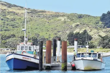  ?? PHOTO: GERARD O'BRIEN ?? Fait accompli ... Monarch and Vivienne J float moored to the Wellers Rock pontoon, where the two black piles were driven in yesterday.