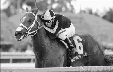  ?? KENNY MARTIN/COGLIANESE PHOTOS ?? Pay Any Price sets a world record for five furlongs on turf of 53.61 seconds in the Silks Run.