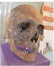  ?? FOTO: BARBARA SCHERER ?? Der Schädel einer Mumie gehört zu den außergewöh­nlichen Stücken im Museum.
