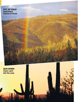  ??  ?? POT OF GOLD Stanislaus National Forest SUN DOWN Giant cacti dot the area