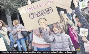  ?? ?? Una de las protesta de las familias a las puertas de las Cortes de Aragón.