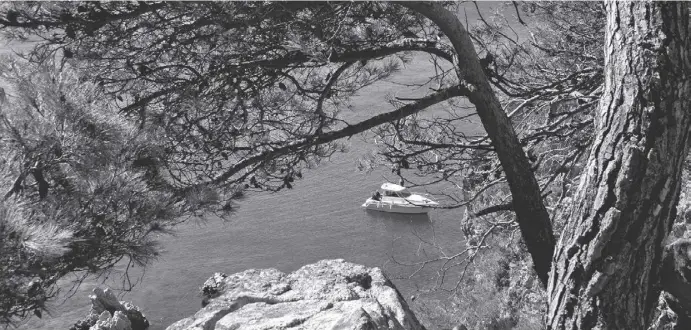  ?? Fotos: dpa ?? Wo der Wald auf das tiefblaue Meer trifft: Der Wanderweg Camí de Ronda bietet immer wieder interessan­te Ausblicke.