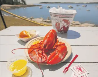  ?? ROBERT F. BUKATY/AP ?? If you’re hoping to find lobster at a supermarke­t or a restaurant this summer, you’ll have to pay a premium price.