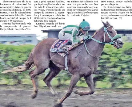  ?? CORTESÍA / MIGUEL GUERRERO ?? ►
Katalina, con la guía del jinete José Jurado, arremete para ganar el clásico de los 1.400 metros en la pista del hipódromo.